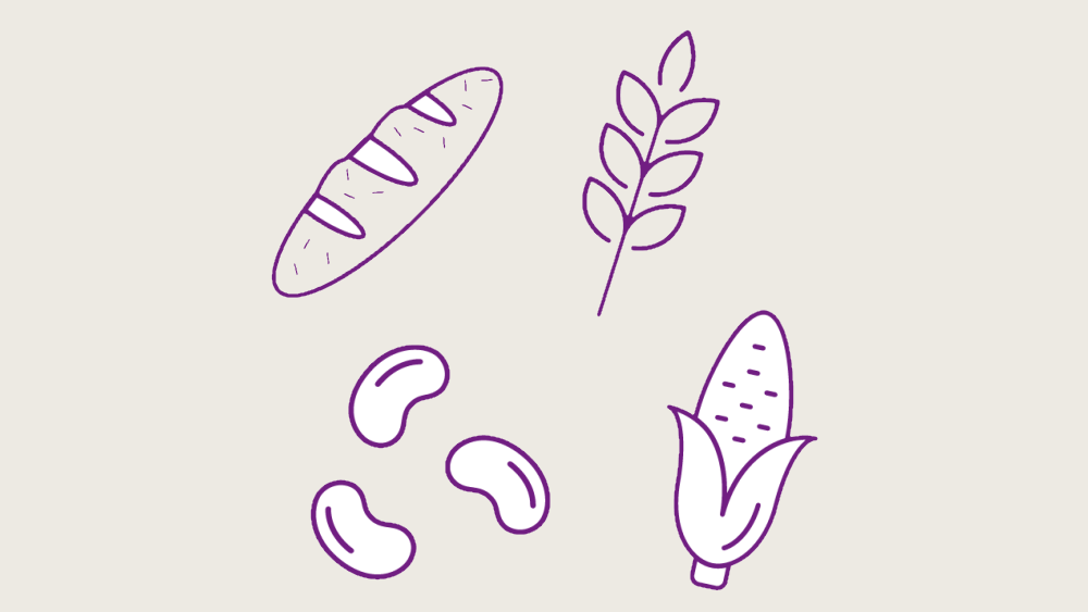 Vollkornbrot, Vollkorngetreide und Hülsenfrüchte lila illustriert
